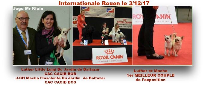 du Jardin de Baltazar - Internationale Rouen le 3/12/17
