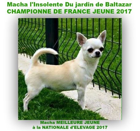 du Jardin de Baltazar - JEUNE CHAMPIONNE DE FRANCE 2017