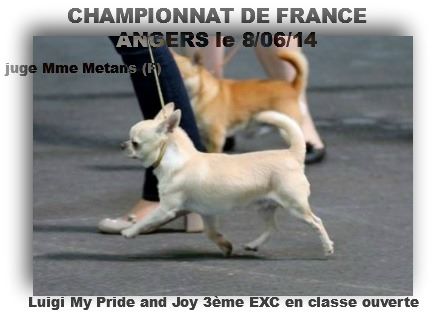 du Jardin de Baltazar - CHAMPIONNAT DE FRANCE 2014