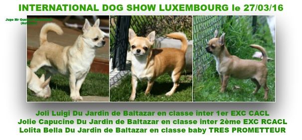 du Jardin de Baltazar - LUXEMBOURG 27/03/16