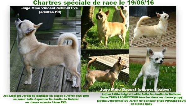 du Jardin de Baltazar - CHARTRES SPECIALE DE RACE le 19/06/16