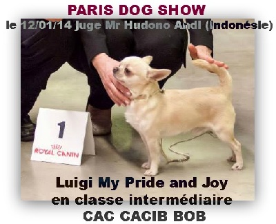 du Jardin de Baltazar - PARIS DOG SHOW le 12/01/14