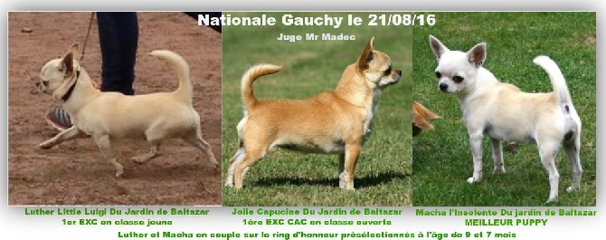 du Jardin de Baltazar - Nationale Gauchy le 21/08/16