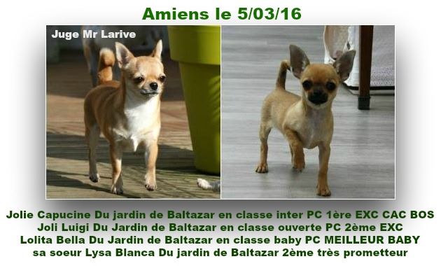 du Jardin de Baltazar - AMIENS le 5/03/16