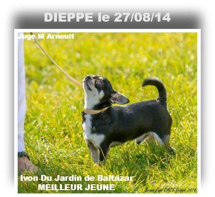 du Jardin de Baltazar - DIEPPE le 27/07/14