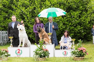 du Jardin de Baltazar - L'Isle Adam CACS le 09/06/13