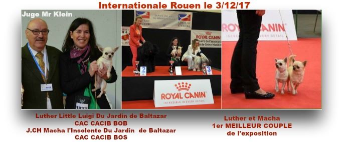 Internationale Rouen le 3/12/17