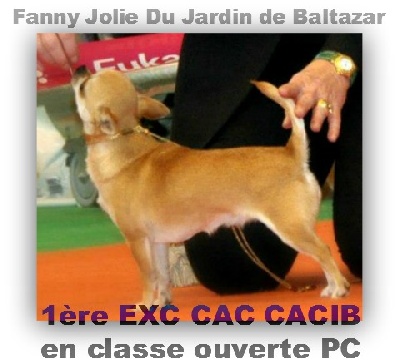 du Jardin de Baltazar - INTERNATIONALE TROYES le 03/02/13