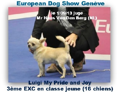 du Jardin de Baltazar - EUROPEAN DOG SHOW